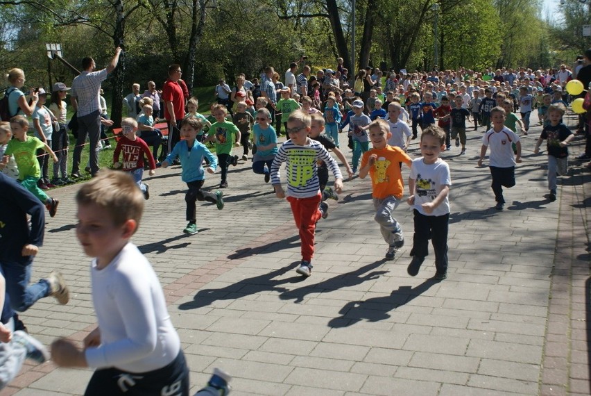 Bieg Skrzata w Parku Hallera zgromadził setki uczestników