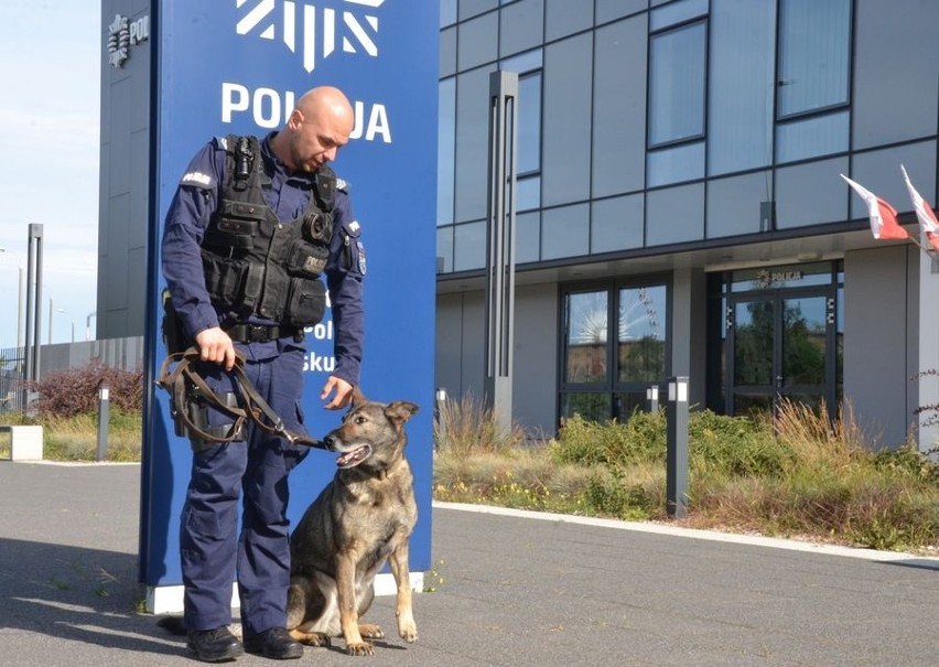 Psi emeryt z Gdańska. Luna kończy swoją pracę w policji