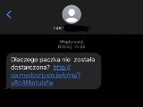 Kolejna fala oszustw internetowych i SMS-owych. Można stracić oszczędności, dostęp do kont i władzę nad danymi osobowymi