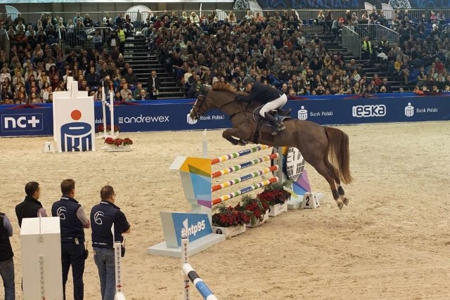 Cavaliada i potęga skoków na poznańskich targach