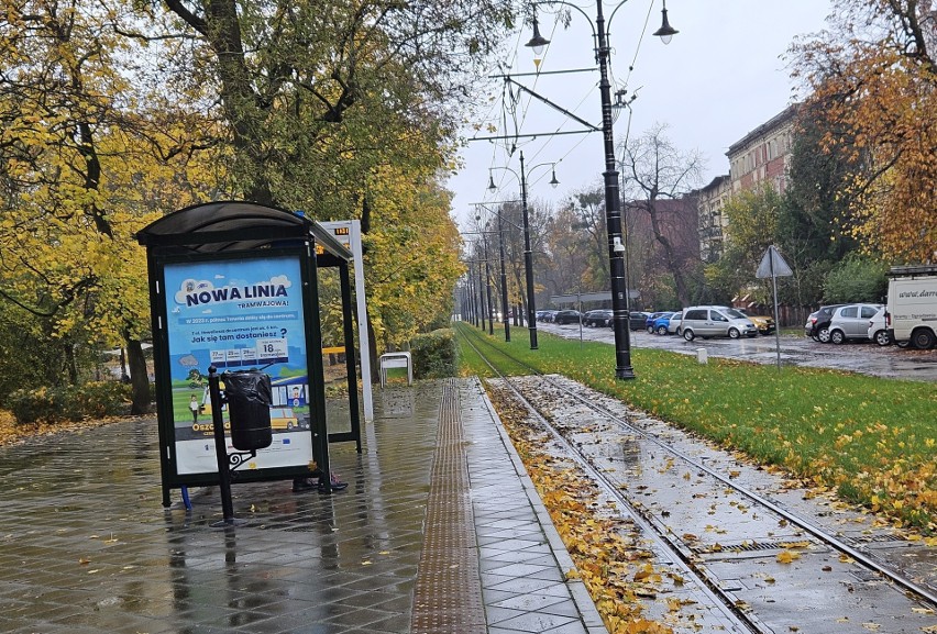 Uwaga na tramwaje w Toruniu! Jesienią ślizgają się na liściach i mają poważne problemy z podjazdem i hamowaniem
