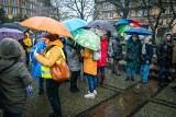Międzynarodowy dzień przewodnika w Szczecinie. 31 tras po mieście. Deszczowa pogoda im nie straszna   