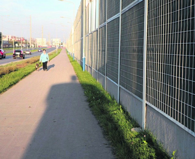 Na Ruczaju jest mało drzew. Na razie jedyną roślinnością, jaka się tam pojawi będzie bluszcz sadzony na ekranach akustycznych.