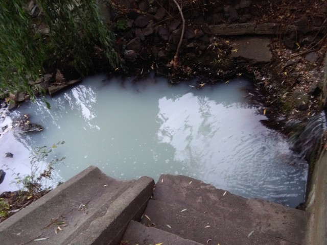 Brudna woda, która wpływała do Odry, być może nie jest groźna dla środowiska. Szczegółowe wyniki kontroli pracowników WIOŚ  mamy poznać jeszcze w tym tygodniu.