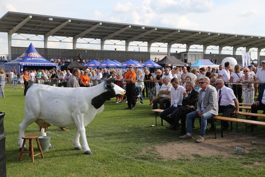 X Światowy Dzień Mleka w Wysockiem Mazowieckiem