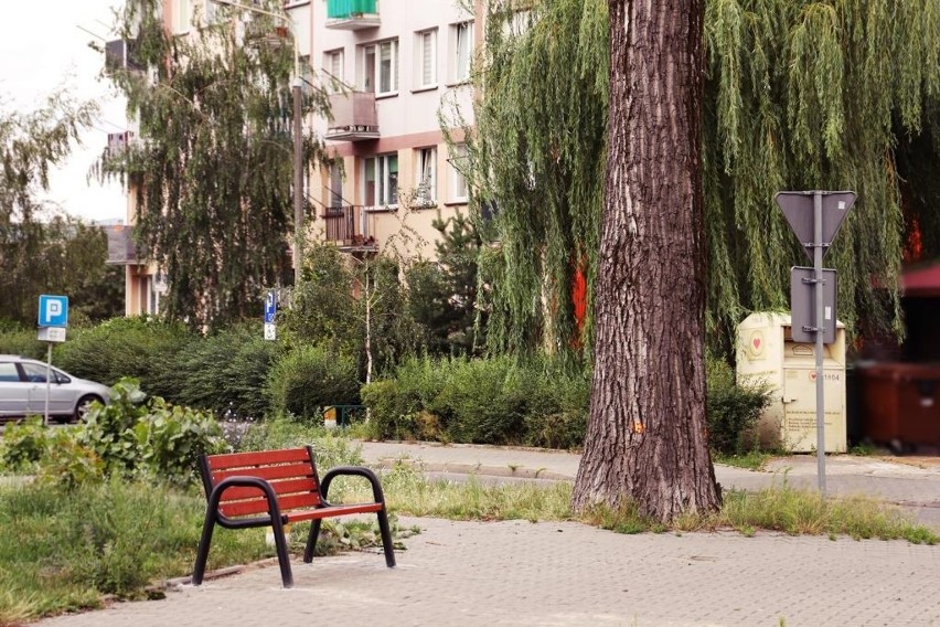 Ostrołęka. Nowe ławki w mieście. Wnioskowali o nie seniorzy 