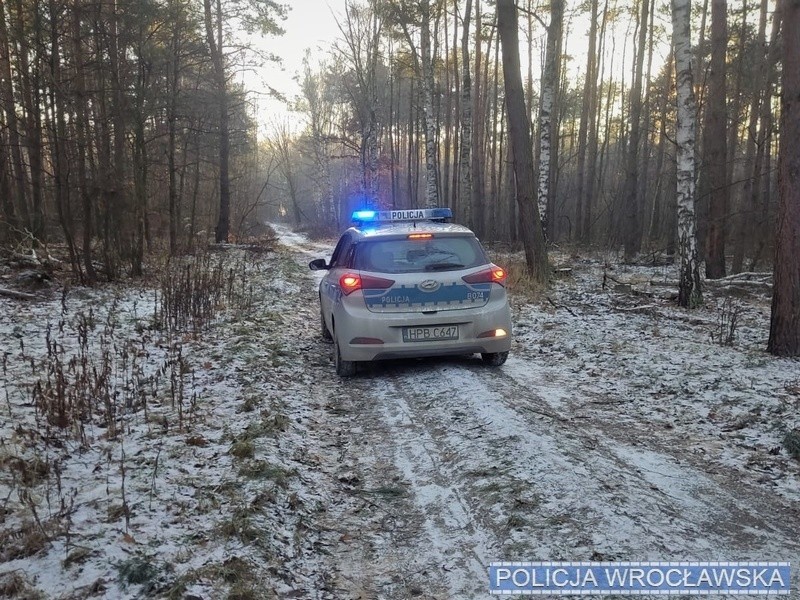 Wypadek w lesie w Wojnowicach pod Wrocławiem. Starszą panią ewakuowali policjanci