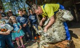 Majówka na motocyklu, plaży lub w zoo? Bydgoski Myślęcinek zaprasza na długi weekend z atrakcjami