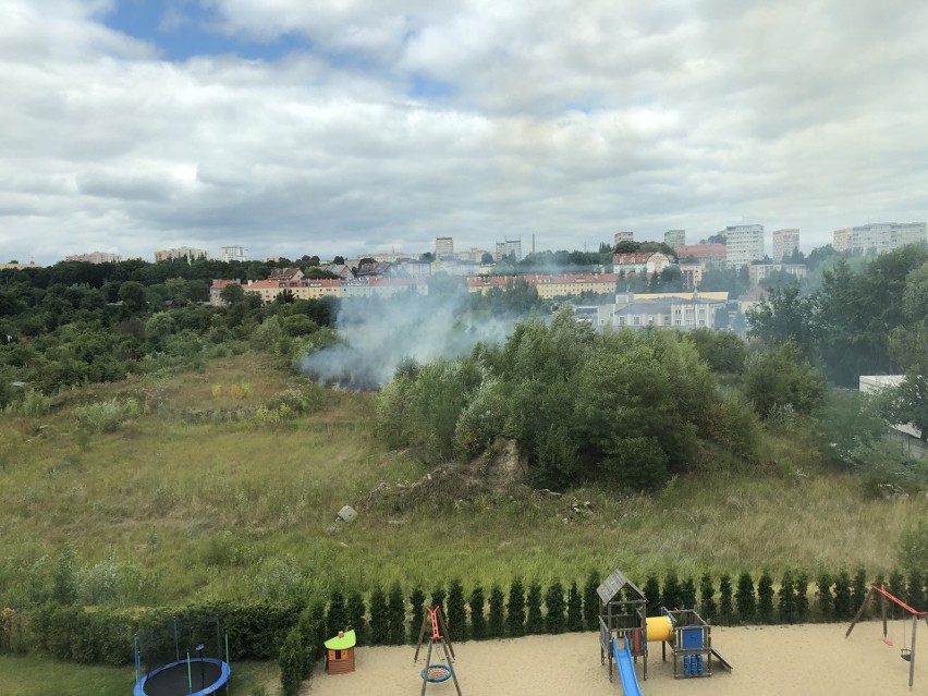 Pożar traw na ul. Stalmacha. Straż pożarna w akcji [ZDJĘCIA] 