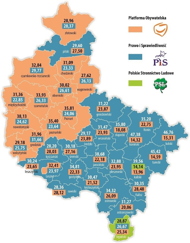 Tak głosowała Wielkopolska