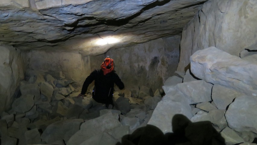 Speleolodzy liczą nietoperze na Podkarpaciu. Sprawdzili stary tunel i sztolnie, w których zimują te ssaki [ZDJĘCIA]