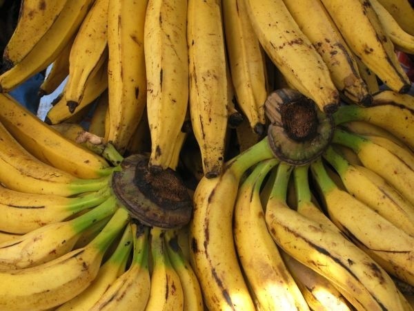 Luty, to miesiąc w którym potaniały owoce, w tym banany.