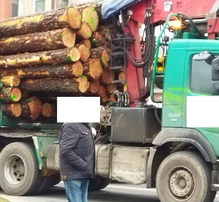 W ciężarówce doszło do przesunięcia przewożonego drewna....