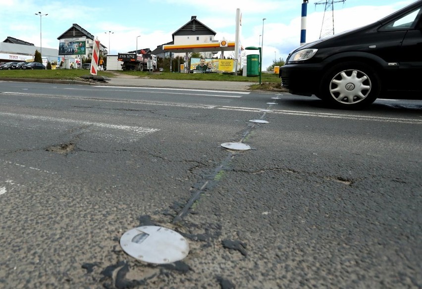 Na Duńskiej będzie bezpieczniej. Oczy kota pomogą pieszym