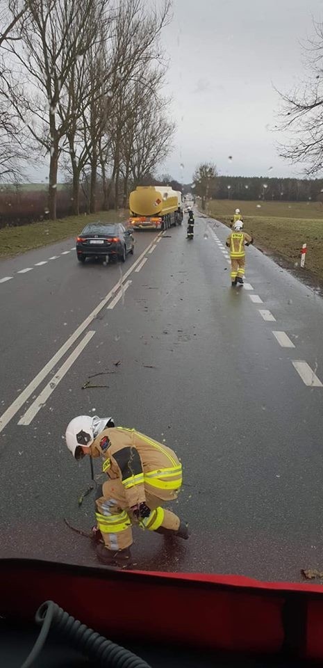 Strażacy z OSP Potęgowo zostali zadysponowani do usunięcia gałęzi drzew, które spadły na drogę DK6 i utrudniały jazdę kierowcom.