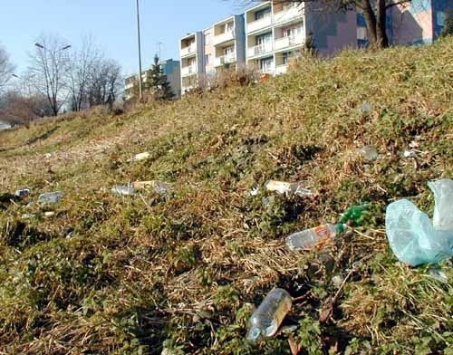 W okolicach osiedla Kmiecie w Przemyślu od kilku tygodni na  nadsańskim bulwarze zalega kilkadziesiąt pustych butelek