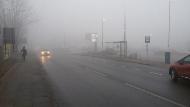 Kierowcy w Lubuskiem powinni się przygotować na gęstą mgłę i zalegającą na drogach szadź.