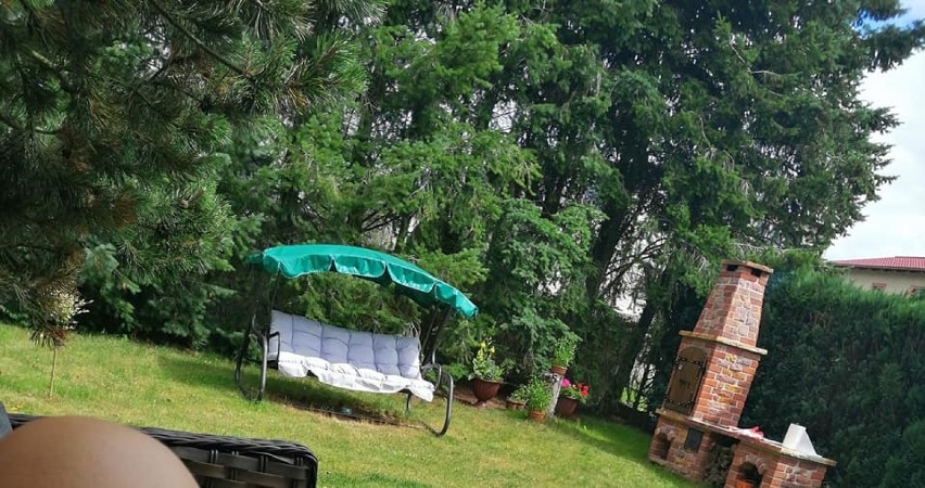 Nieznany sprawca nielegalnie wyciął piękne drzewa na cudzej posesji w Żukowie. Sprawę bada policja
