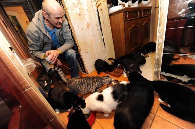 Andrzej Budziak przekazał w dobre ręce 25 kotów, reszta mu na razie została. Ta reszta to 26 kotów