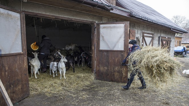 Rolnicy. Podlasie. Andrzej Onopiuk ma prośbę do fanów...