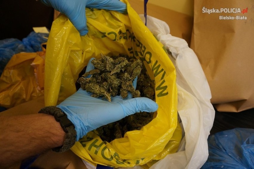 Policjanci z Bielska-Białej przejęli 2 kg marihuany