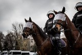 Manewry policjantów na koniach z Łodzi i Tomaszowa