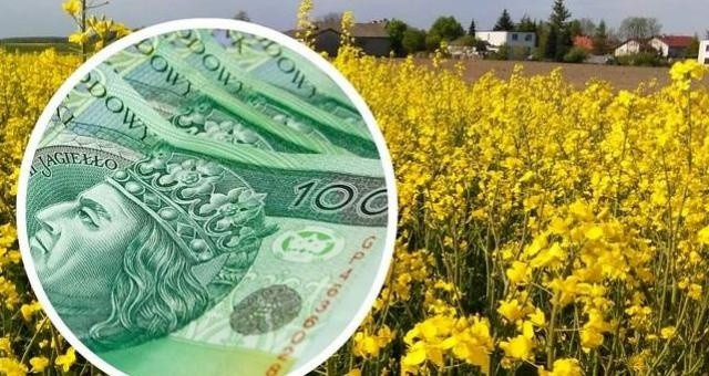 Dopłaty za 2015 będą szybciej niż w zawiadomieniach