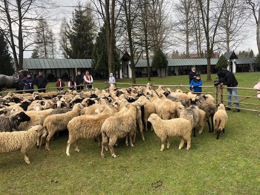 Święto Bacowskie w Sanktuarium Matki Bożej w Ludźmierzu