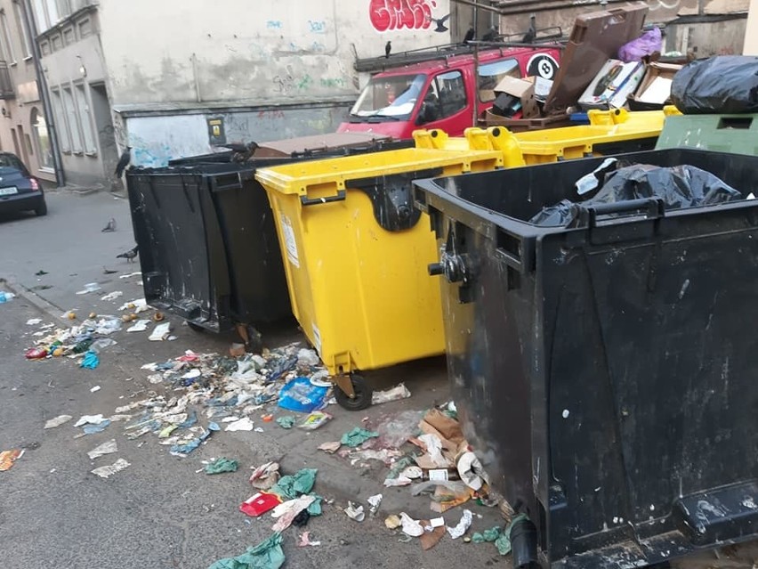 Na problem ze śmieciami mieszkańcy ul. Lutyckiej skarżą się...