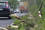 Nawałnice w Małopolsce. 12 uszkodzonych budynków [WIDEO]