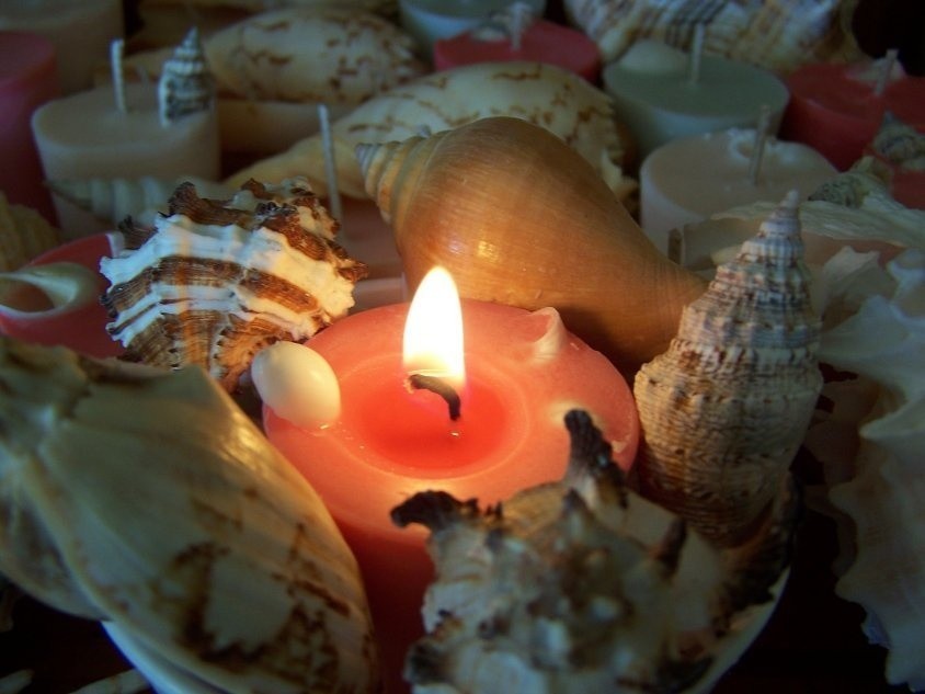 Muszle można wykorzystać do dekoracji świeczników.