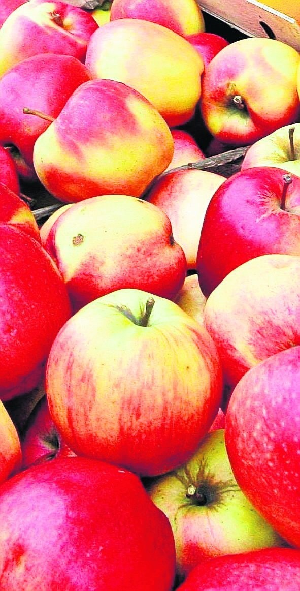 Fundacja rozdała 1000 ton jabłek i... słuch o niej zaginął