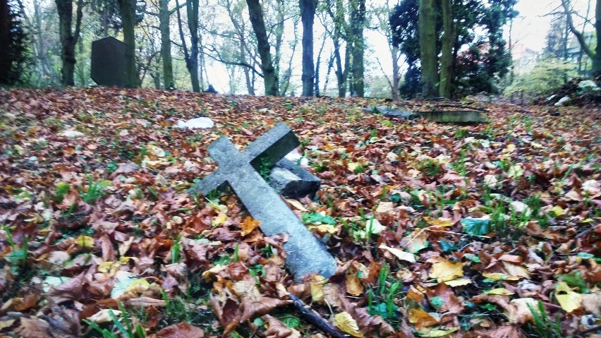 Wszystkich Świętych na zapomnianym cmentarzu w Szczecinie