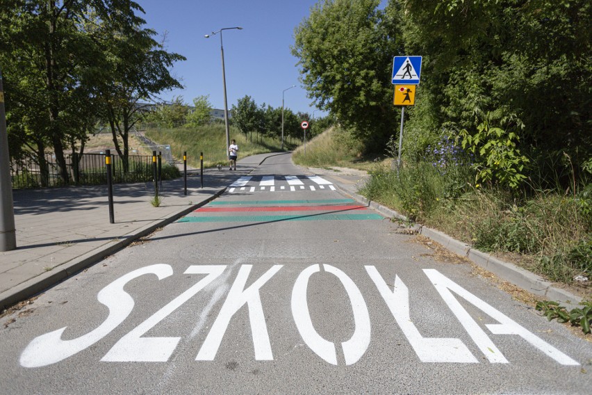 Kolorowe pasy na gdańskich przejściach dla pieszych. O co chodzi?