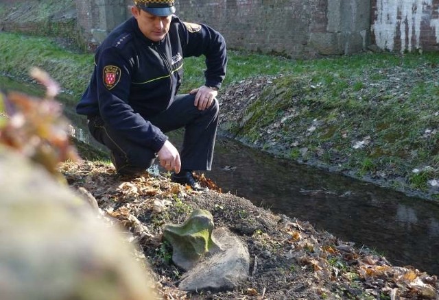 Zdobienie dawnej wieży wykonano w piaskowcu. Na zdjęciu ze znaleziskiem starszy inspektor straży - Adam Sadłowski.