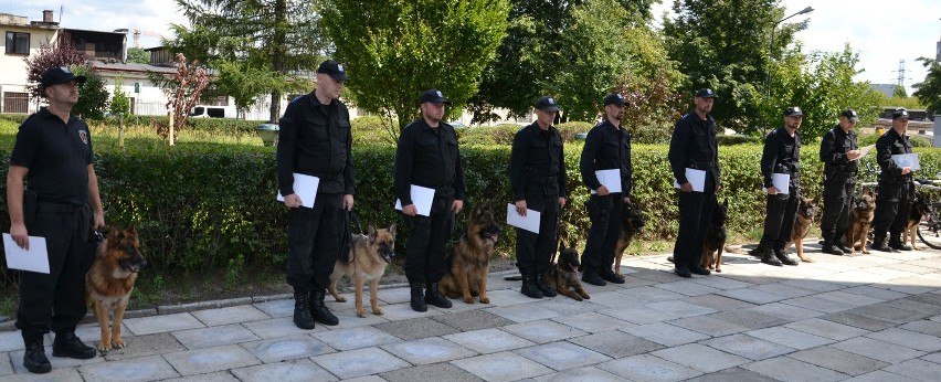 Zawody psów policyjnych.