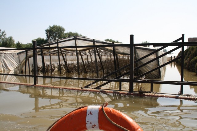 Szóstego czerwca  minęło dziesięć  lat od  przyjścia fali powodziowej, która po Sandomierzu dotknęła także gminę Dwikozy.