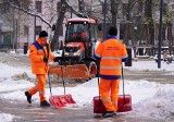 Śniegu nasypało, dookoła biało, łopaty poszły w ruch. Zobacz zdjęcia z zimowego Lublina