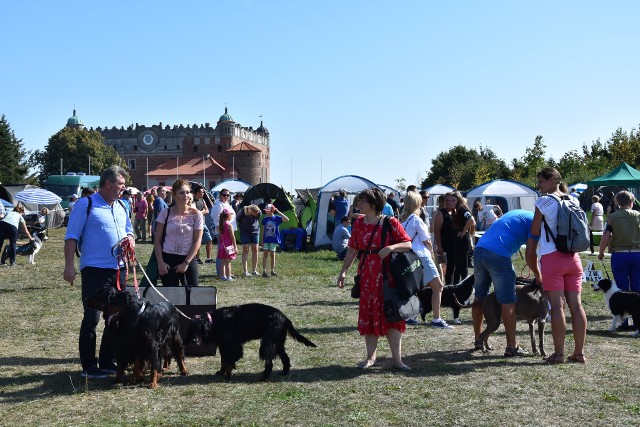 52. Toruńska Wystawa Psów Rasowych w Golubiu-Dobrzyniu