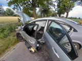 Pijany kierowca uderzył w drzewo w gminie Stare Pole. Nigdy nie miał prawa jazdy. 26-latek przed służbami ukrył się  w krzakach