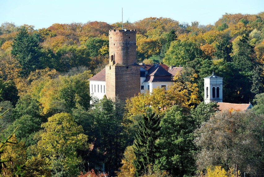 Bieszczady nad jeziorami. Zobacz, jak Łagów wabi przyrodą