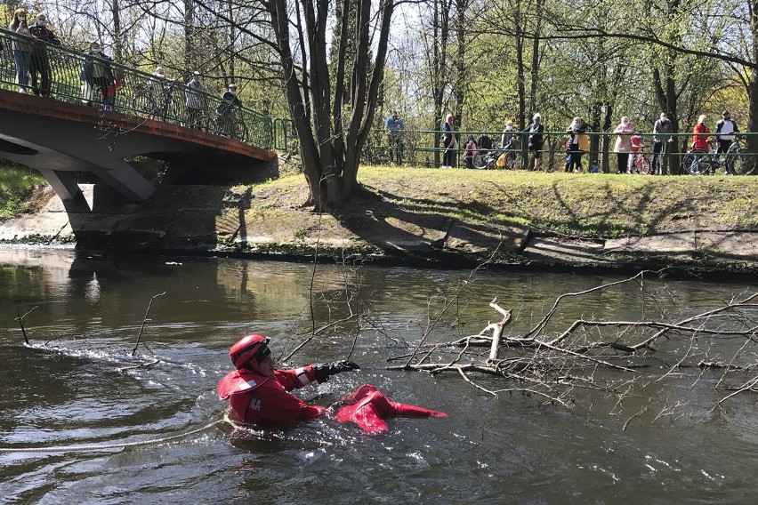 W poniedziałek około godziny 14.15 Policja oraz Straż...