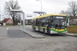 Cztery elektryczne autobusy jeździć będą w gminie Grudziądz. To projekt warty 6,4 mln złotych! 