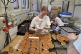 Tłusty Czwartek. W piekarni Michalskich w Katowicach produkcja pączków idzie pełną parą. Zobaczcie, jak powstają pyszne pączki