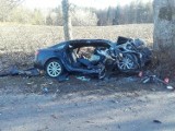 Wypadek w Karwacji. Audi uderzyło w drzewo [ZDJĘCIA]
