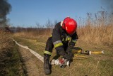 Pożar we wsi Wilcza. Strażacy ugasili łącznie ok. 5 hektarów terenu! Na miejscu jest 8 zastępów straży pożarnej