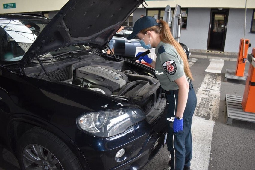 Trwa nabór do służby w podkarpackiej Krajowej Administracji Skarbowej. Jest 50 wolnych etatów