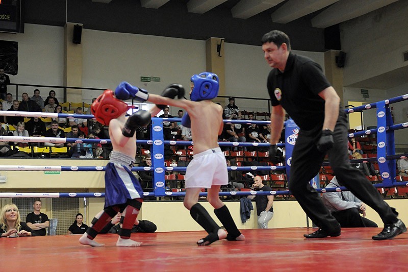 Golden League Muay Thai I Edycja - walki pokazowe