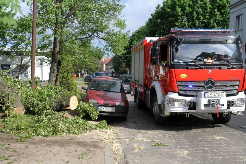 Drzewo powalone przez burzę w rejonie ul. Dmowskiego we...