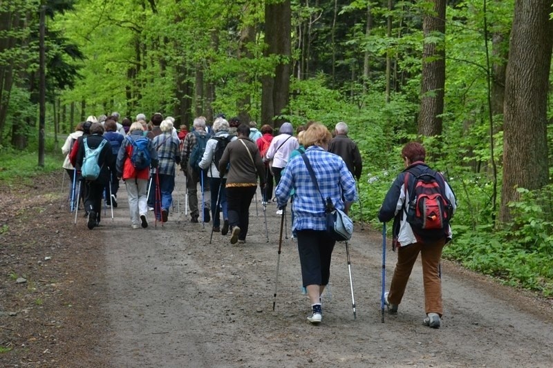 Bielsko-Biała: seniorzy włączyli się w ogólnopolski marsz UTW 2015 [ZDJĘCIA]